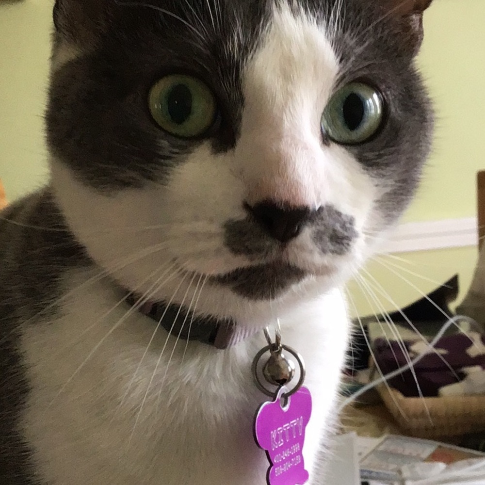 Meet your Posher, Cathleen